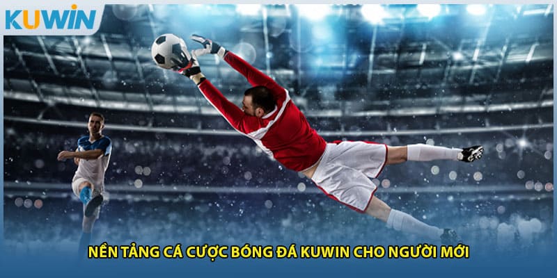 Nền tảng cá cược bóng đá Kuwin cho người mới