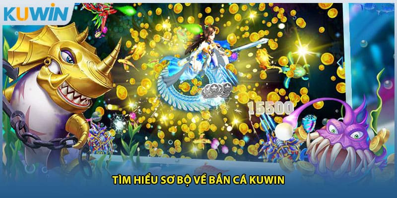 Tìm hiểu sơ bộ về bắn cá Kuwin